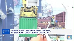 Video: Parkir DHE 1 Tahun, RI Bisa Kantongi Devisa USD 90 M