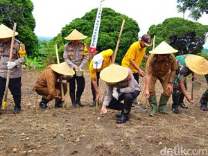 Polres Mojokerto Olah 32 Hektare Lahan Tidur Jadi Kebun Jagung