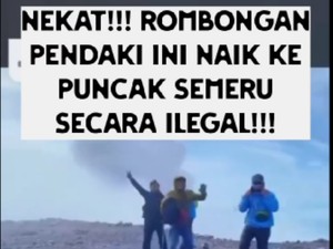 TNBTS Selidiki Pendaki Ilegal yang Naik Puncak Gunung Semeru
