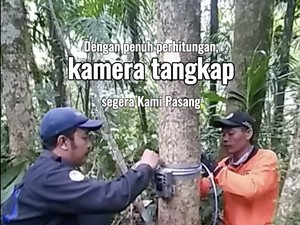 Proses Panjang Terekamnya Macan Tutul di TNBTS, Tak Sekadar Pasang Kamera Saja