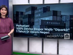 Video: Sah! 100% Devisa Ekspor Wajib "Parkir" 1 Tahun di Dalam Negeri