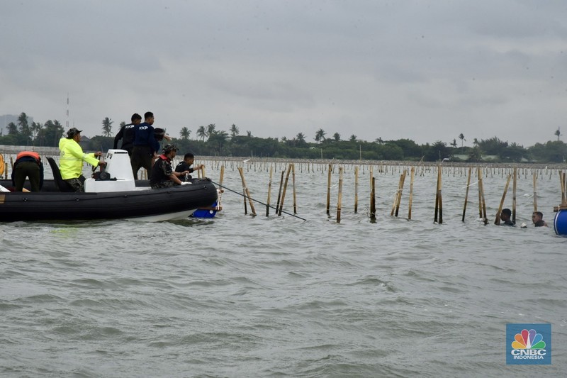 Ketua Komisi IV DPR, Titiek Soeharto  mengecek langsung pembongkaran pagar laut misterius di perairan Tanjung Pasir, Tangerang. Selain Titiek, turut hadir Menteri Kelautan dan Perikanan Wahyu Sakti Trenggono dan Menteri Agraria dan Tata Ruang (ATR) Nusron Wahid. (Tiara Anis/Medsos DPR RI via CNBC Indonesia)