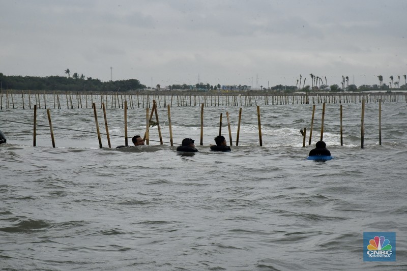 Ketua Komisi IV DPR, Titiek Soeharto  mengecek langsung pembongkaran pagar laut misterius di perairan Tanjung Pasir, Tangerang. Selain Titiek, turut hadir Menteri Kelautan dan Perikanan Wahyu Sakti Trenggono dan Menteri Agraria dan Tata Ruang (ATR) Nusron Wahid. (Tiara Anis/Medsos DPR RI via CNBC Indonesia)