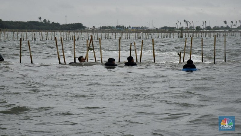 Ketua Komisi IV DPR, Titiek Soeharto  mengecek langsung pembongkaran pagar laut misterius di perairan Tanjung Pasir, Tangerang. Selain Titiek, turut hadir Menteri Kelautan dan Perikanan Wahyu Sakti Trenggono dan Menteri Agraria dan Tata Ruang (ATR) Nusron Wahid. (Tiara Anis/Medsos DPR RI via CNBC Indonesia)