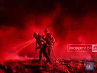 Video: Amerika Kembali Dilanda Bencana, Ribuan Hektar Hutan Terbakar