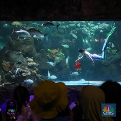 Laba Emiten Pengelola Ancol (PJAA) Anjlok 63,73% ke Rp 21,69 Miliar