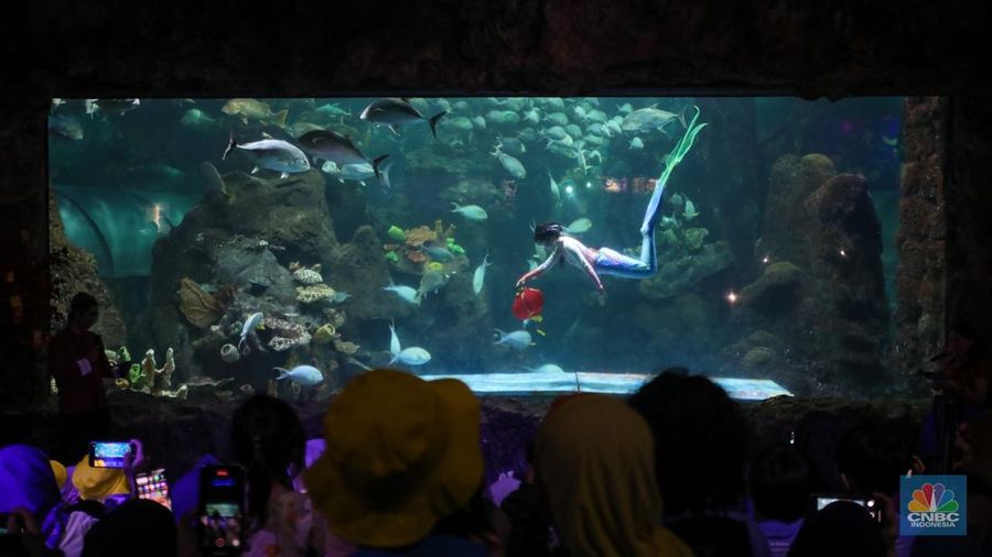 Atraksi barongsai menghibur pengunjung di akuarium SeaWorld Ancol, Jakarta, Kamis (23/1/2024). (CNBC Indonesia/Faisal Rahman)