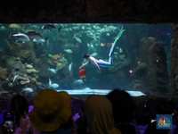Laba Emiten Pengelola Ancol (PJAA) Anjlok 63,73% ke Rp 21,69 Miliar