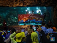 Intip Atraksi Barongsai-Mermaid di Akuarium Raksasa