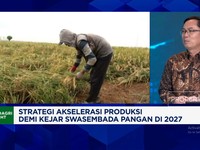 Video: Demi Swasembada, Kementan Gaet 25 Ribu Orang 