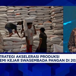 Video: Meski 2024 Masih Impor, Kementan Yakin Capai Swasembada Pangan