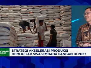 Video: Meski 2024 Masih Impor, Kementan Yakin Capai Swasembada Pangan