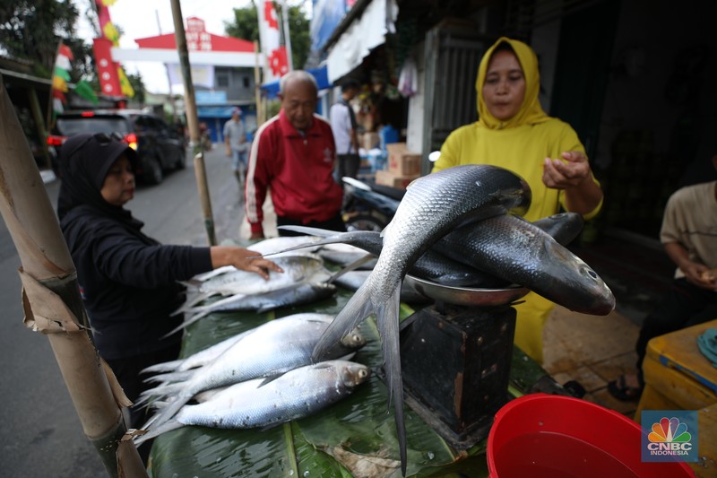 Penjual melayani pembeli ikan bandeng di kawasan Rawa Belong, Jakarta Barat, Kamis (23/1/2025). Penjual melayani pembeli ikan bandeng di kawasan Rawa Belong, Jakarta Barat, Kamis (23/1/2025). (CNBC Indonesia/Tri Susilo)