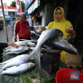 Penjual Ikan Bandeng Dadakan Mulai Muncul di Rawa Belong, Ada Apa?