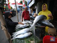 Penjual Ikan Bandeng Dadakan Mulai Muncul di Rawa Belong, Ada Apa?