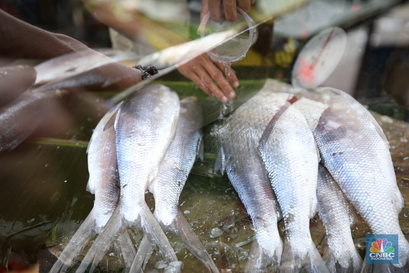 Penjual melayani pembeli ikan bandeng di kawasan Rawa Belong, Jakarta Barat, Kamis (23/1/2025). Penjual melayani pembeli ikan bandeng di kawasan Rawa Belong, Jakarta Barat, Kamis (23/1/2025). (CNBC Indonesia/Tri Susilo)
