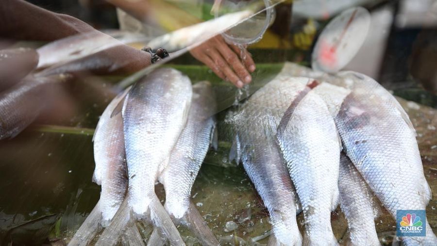 Penjual melayani pembeli ikan bandeng di kawasan Rawa Belong, Jakarta Barat, Kamis (23/1/2025). (CNBC Indonesia/Tri Susilo)