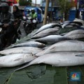 Motif Tersembunyi Dibalik Ikan Bandeng yang Jadi Hidangan Imlek