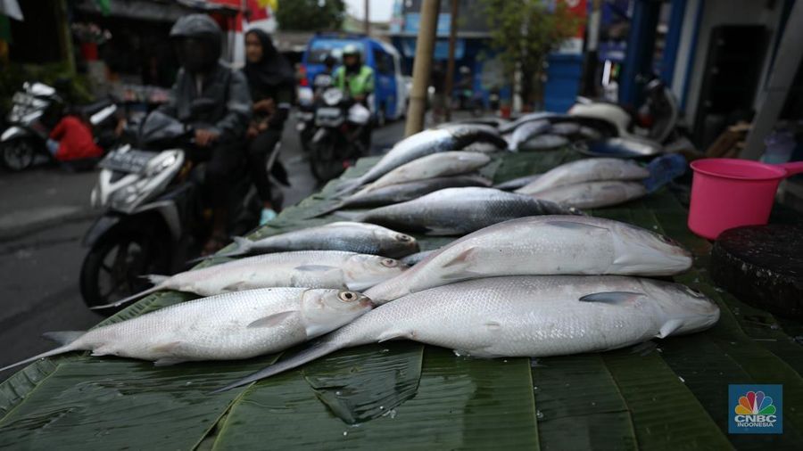 Penjual melayani pembeli ikan bandeng di kawasan Rawa Belong, Jakarta Barat, Kamis (23/1/2025). (CNBC Indonesia/Tri Susilo)