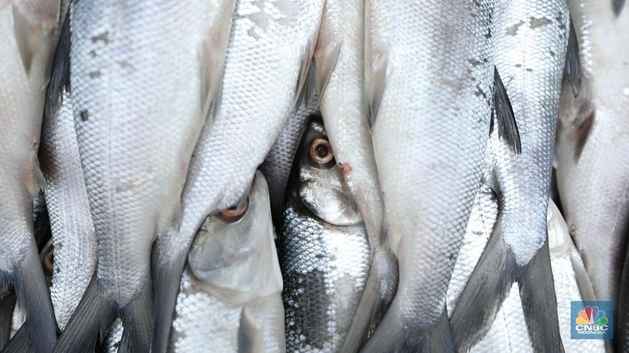 Penjual melayani pembeli ikan bandeng di kawasan Rawa Belong, Jakarta Barat, Kamis (23/1/2025). (CNBC Indonesia/Tri Susilo)