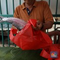 Waspada! Ini 10 Jenis Ikan yang Mengandung Merkuri Tinggi