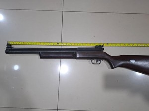 Polisi Sita Senapan Angin Senjata Pria Jakut Tembak Mati Kucing Timmy
