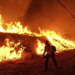 LA Terbakar Hebat di Musim Dingin, Ilmuwan Tunjuk Biang Keladinya