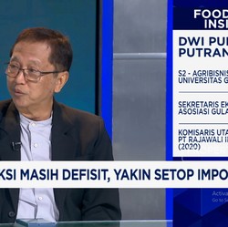 Video: Syarat RI Bisa Setop Impor Gula Konsumsi & Swasembada di 2025