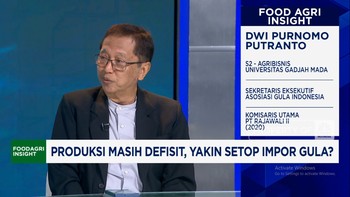 Video: Syarat RI Bisa Setop Impor Gula Konsumsi & Swasembada di 2025