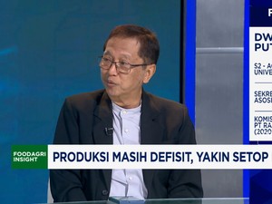 Video: Syarat RI Bisa Setop Impor Gula Konsumsi & Swasembada di 2025