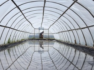 Butuh Rp 2 Triliun buat Garap Ladang Garam 2.000 Ha di NTT