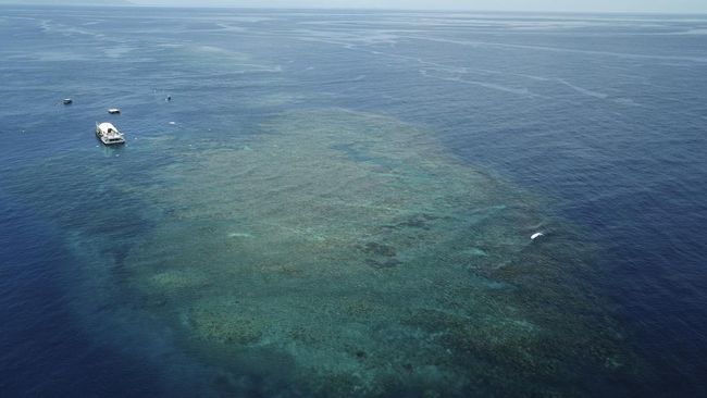 Apocalypse Signs Are Becoming More Clear in ‘Below’ Indonesia