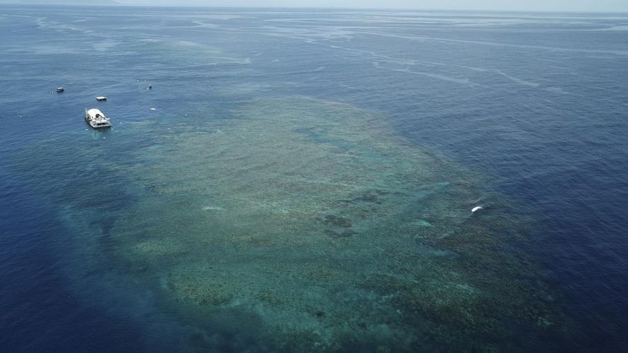 Great Barrier Reef(AP Photo/Sam McNeil)