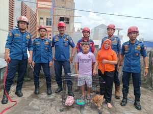 Damkarmat Makassar Evakuasi Kucing Oyen 2 Hari Terjebak di Sela Bangunan