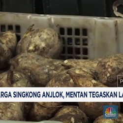 Video: Harga Singkong Anjlok, Mentan Tegaskan Larangan Impor