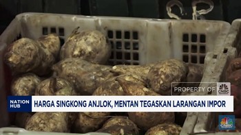 Video: Harga Singkong Anjlok, Mentan Tegaskan Larangan Impor