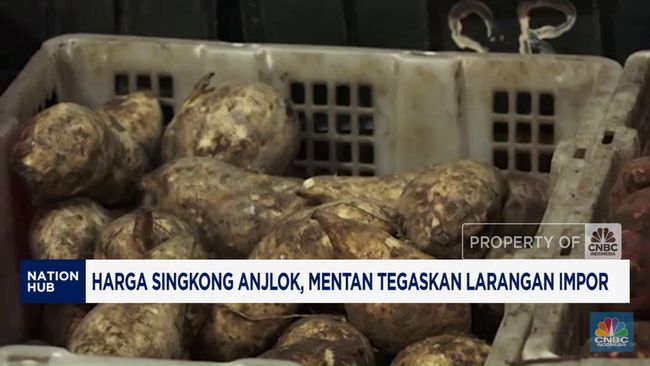 Harga Singkong Anjlok, Mentan Tegaskan Larangan Impor