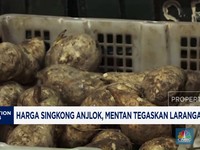 Video: Harga Singkong Anjlok, Mentan Tegaskan Larangan Impor