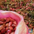 'Penyakit' Ini Gentayangan di Ramadan-Lebaran, Pemda Jangan Kecolongan