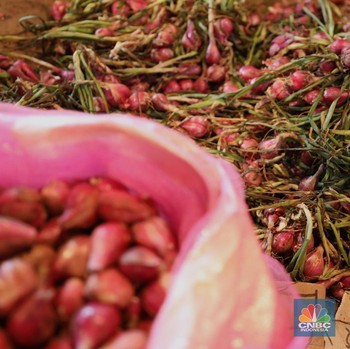 Emak-emak Tahan Emosi! Harga Bawang Merah Lagi Meroket Nih