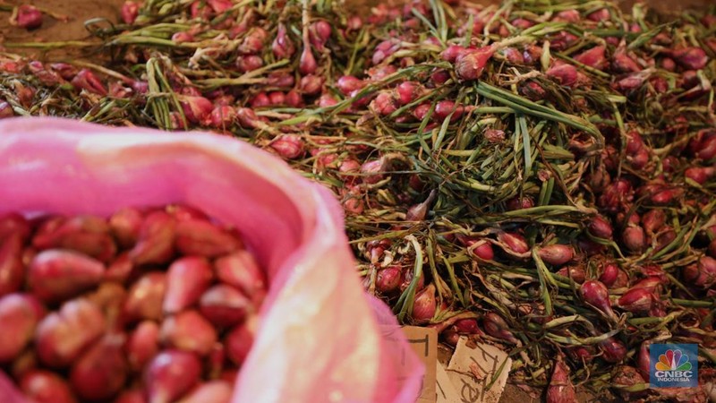 Pekerja melakukan bongkar muat bawang merah dari Brebes, Jawa Tengah di Pasar Kramat Jati, Jakarta, Jumat (24/1/2025). (վ/Tri Susilo)