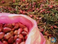 Emak-emak Tahan Emosi! Harga Bawang Merah Lagi Meroket Nih