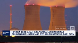 Video: Pemerintah Prabowo Percepat Pembangunan PLTN Pada 2029