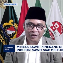 Video: RI Menang Lawan Eropa, Bukti Sawit Bukan Produk 