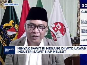 Video: RI Menang Lawan Eropa, Bukti Sawit Bukan Produk