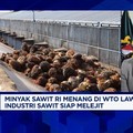 Video: Cegah 