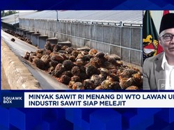 Video: Cegah "Cawe-cawe" Sektor Sawit, Petani Minta Ini ke Prabowo