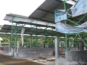 Pasar Hewan Pengasih Kulon Progo Ditutup 2 Pekan Imbas Wabah PMK
