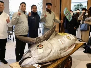 5 Ikan Raksasa Ini Terjual dengan Harga Fantastis, Capai Miliaran Rupiah!