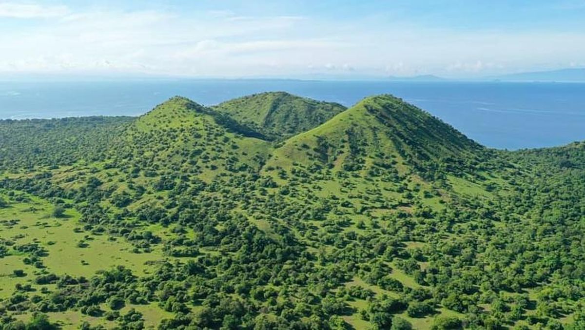 Cegah Kebakaran Hutan, Pendakian di Gunung Tambora Ditutup Sementara